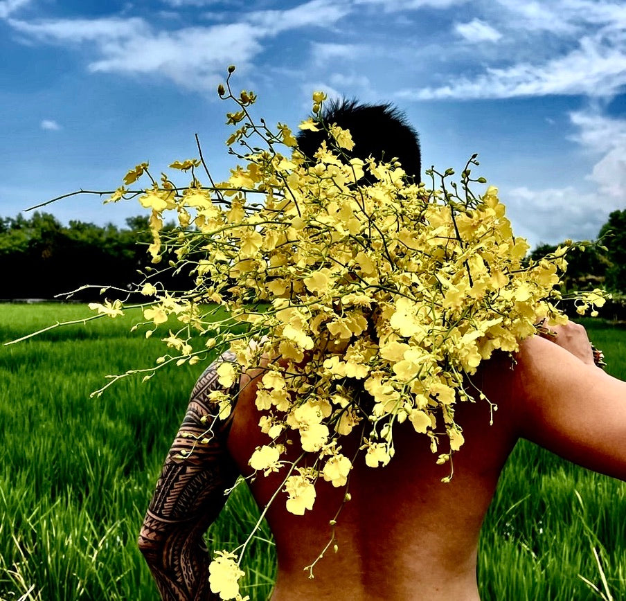 公平嚴選-蘭花